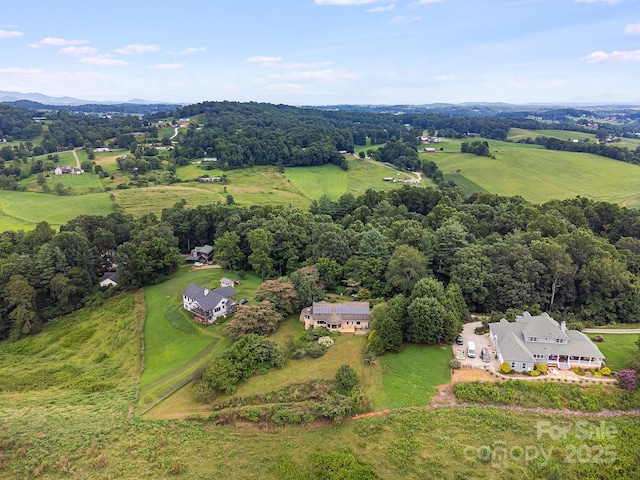 16 Pearl Mountain Rdg, Leicester, NC 28748 - photo 43