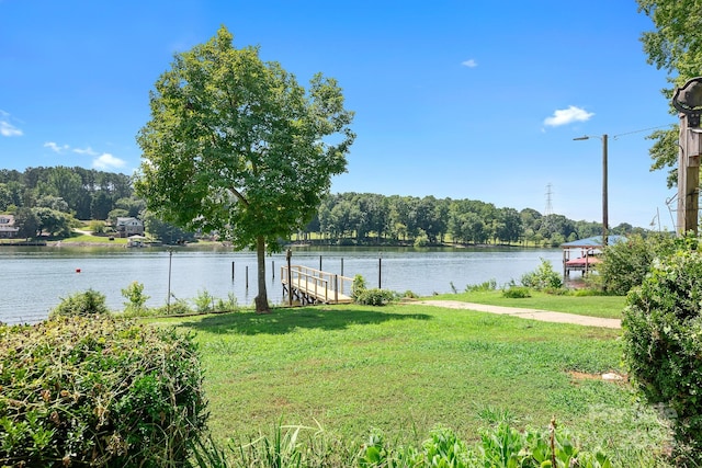 177 Brer Fox Trl, Troutman, NC 28166 - photo 10