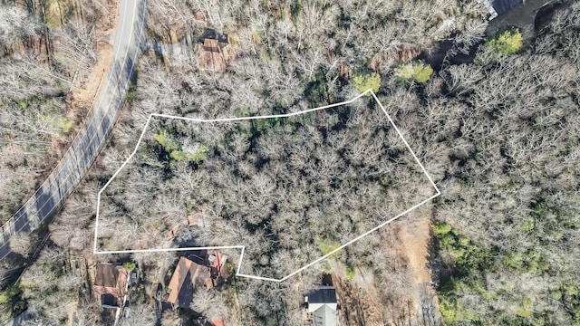 9999 Yates Ave Unit Pt A, Black Mountain, NC 28711 - photo 1