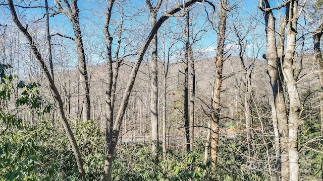 9999 Yates Ave Unit Pt A, Black Mountain, NC 28711 - photo 2