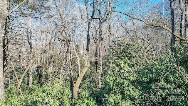 9999 Yates Ave Unit Pt A, Black Mountain, NC 28711 - photo 3