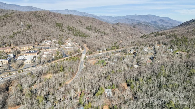 9999 Yates Ave Unit Pt A, Black Mountain, NC 28711 - photo 4