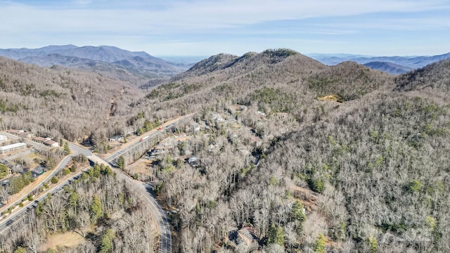 9999 Yates Ave Unit Pt A, Black Mountain, NC 28711 - photo 5