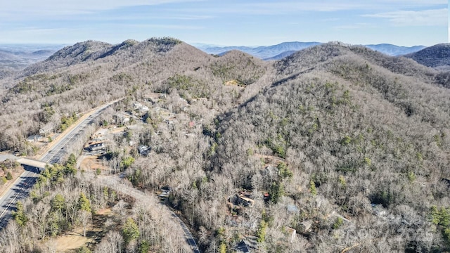9999 Yates Ave Unit Pt A, Black Mountain, NC 28711 - photo 6