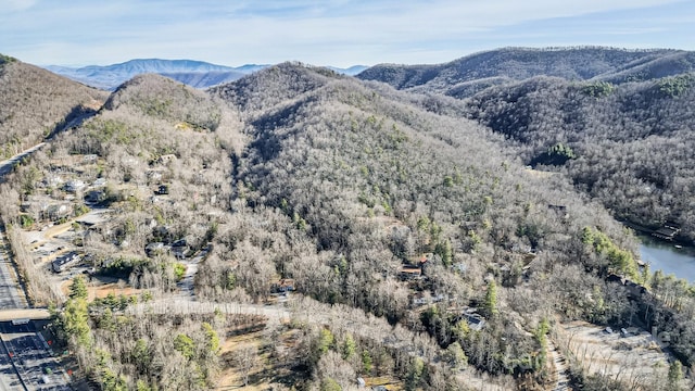 9999 Yates Ave Unit Pt A, Black Mountain, NC 28711 - photo 7