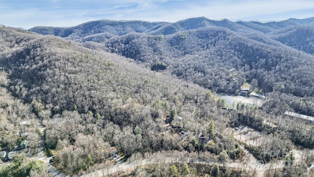 9999 Yates Ave Unit Pt A, Black Mountain, NC 28711 - photo 8