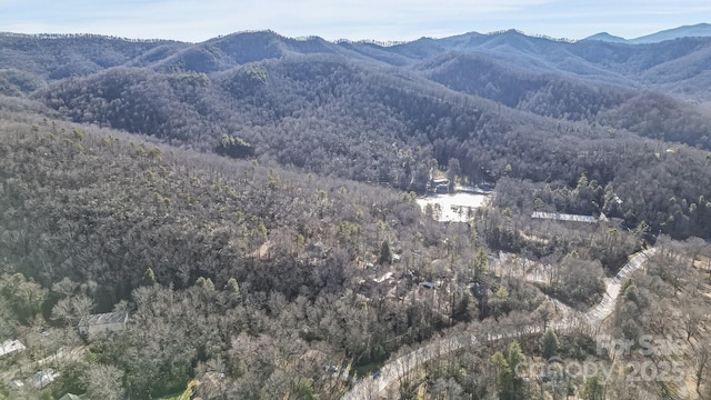 9999 Yates Ave Unit Pt A, Black Mountain, NC 28711 - photo 9
