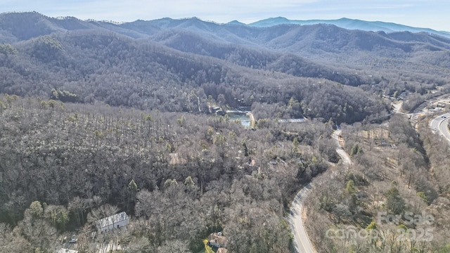 9999 Yates Ave Unit Pt A, Black Mountain, NC 28711 - photo 10
