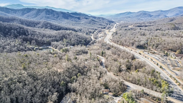 9999 Yates Ave Unit Pt A, Black Mountain, NC 28711 - photo 11
