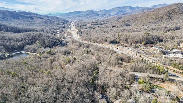 9999 Yates Ave Unit Pt A, Black Mountain, NC 28711 - photo 12