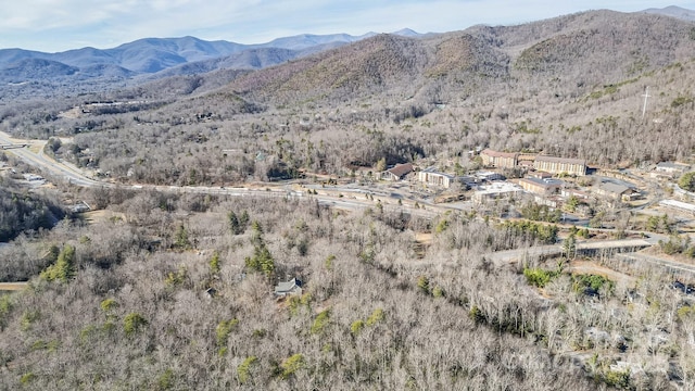 9999 Yates Ave Unit Pt A, Black Mountain, NC 28711 - photo 13