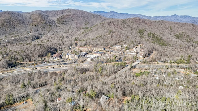 9999 Yates Ave Unit Pt A, Black Mountain, NC 28711 - photo 14