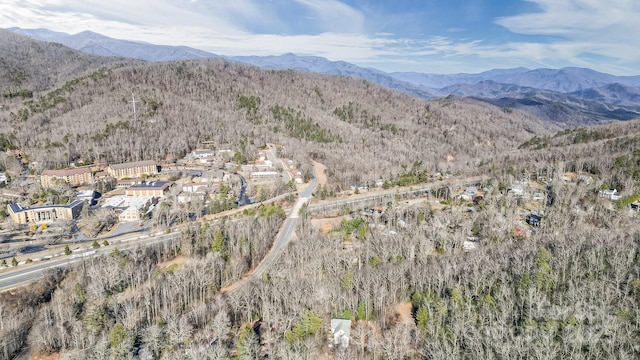 9999 Yates Ave Unit Pt A, Black Mountain, NC 28711 - photo 15