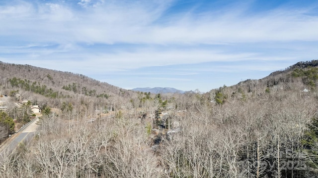 9999 Yates Ave Unit Pt A, Black Mountain, NC 28711 - photo 18