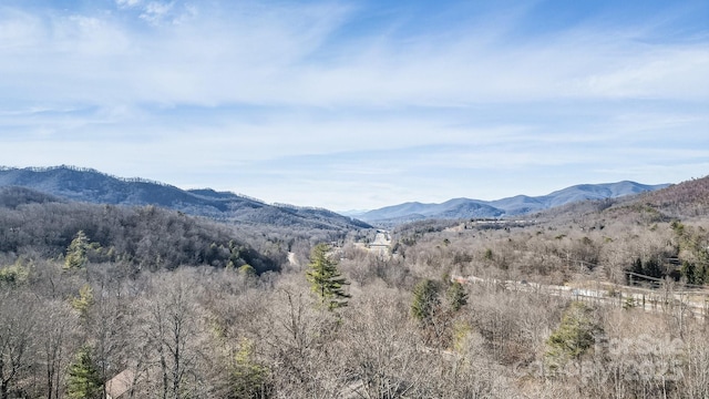 9999 Yates Ave Unit Pt A, Black Mountain, NC 28711 - photo 19