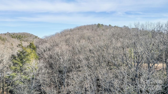 9999 Yates Ave Unit Pt A, Black Mountain, NC 28711 - photo 20