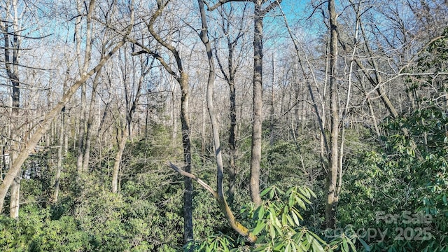 9999 Yates Ave Unit Pt A, Black Mountain, NC 28711 - photo 21