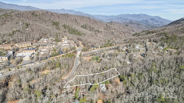 9999 Yates Ave Unit Pt A, Black Mountain, NC 28711 - photo 22