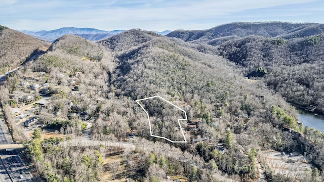 9999 Yates Ave Unit Pt A, Black Mountain, NC 28711 - photo 23