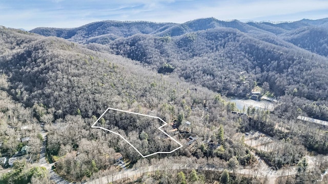 9999 Yates Ave Unit Pt A, Black Mountain, NC 28711 - photo 24