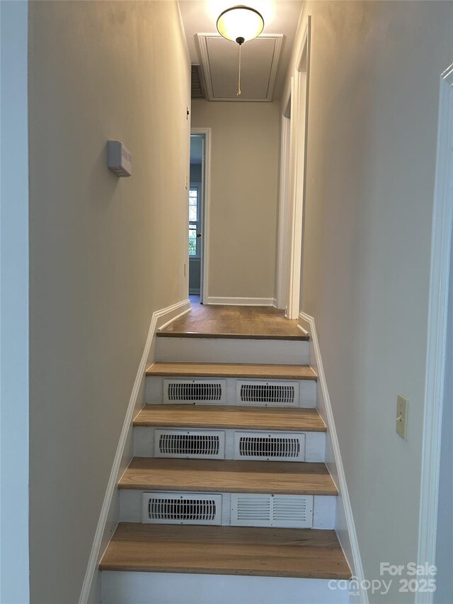1601 Bonnie Ln, Charlotte, NC 28213 - photo 14