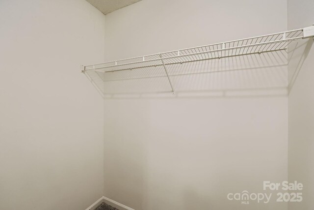 3703 Silver Ore Ln, Charlotte, NC 28216 - photo 19