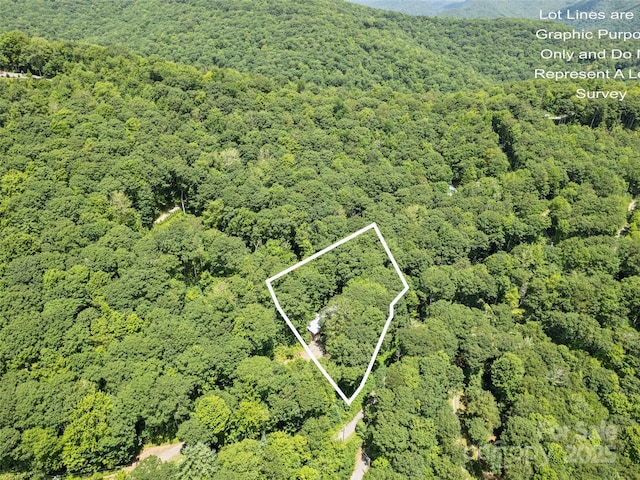 1010 Autumn Dr, Maggie Valley, NC 28751 - photo 7