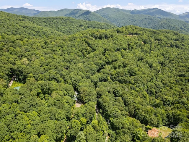 1010 Autumn Dr, Maggie Valley, NC 28751 - photo 8