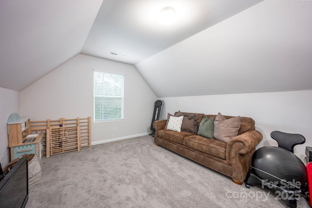 1367 Ron Whicker Dr, Catawba, NC 28609 - photo 26