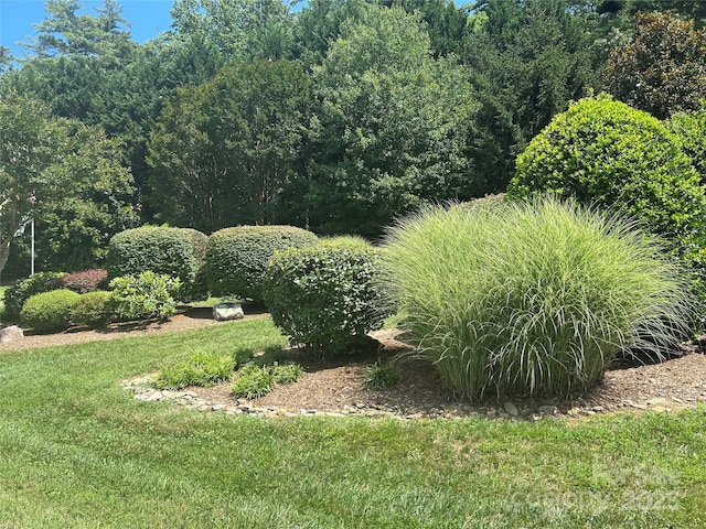 32 Stone House Rd, Hendersonville, NC 28739 - photo 40