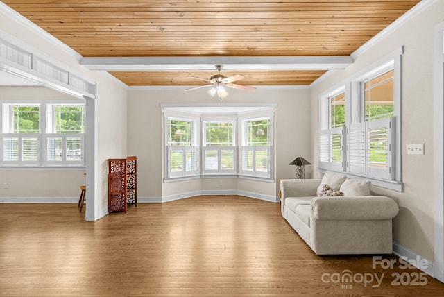 11 Myra Pl Unit 103, Asheville, NC 28806 - photo 5