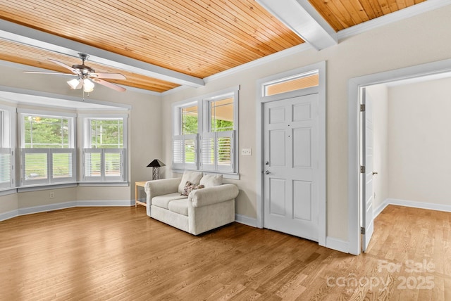 11 Myra Pl Unit 103, Asheville, NC 28806 - photo 6