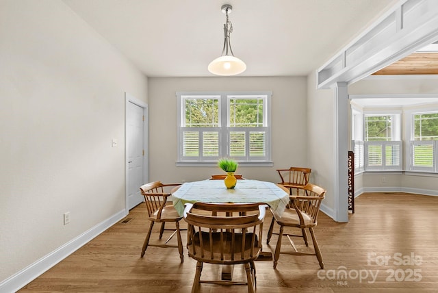 11 Myra Pl Unit 103, Asheville, NC 28806 - photo 7