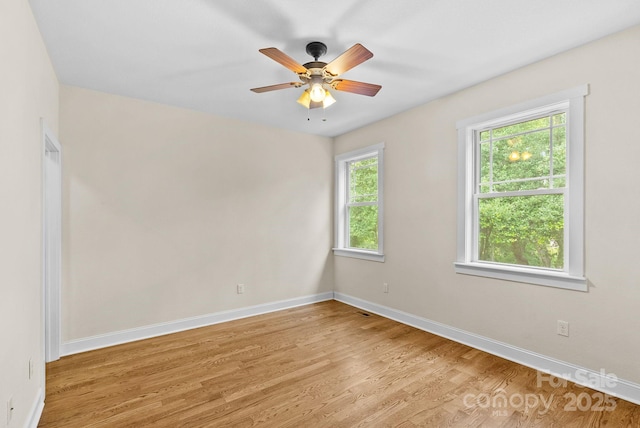 11 Myra Pl Unit 103, Asheville, NC 28806 - photo 19