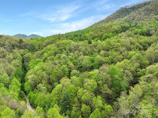 0 Bird Creek Estates Rd, Black Mountain, NC 28711 - photo 2
