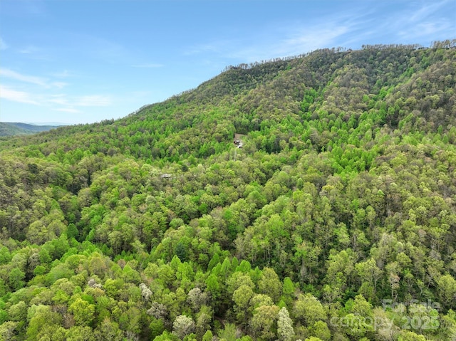 0 Bird Creek Estates Rd, Black Mountain, NC 28711 - photo 3