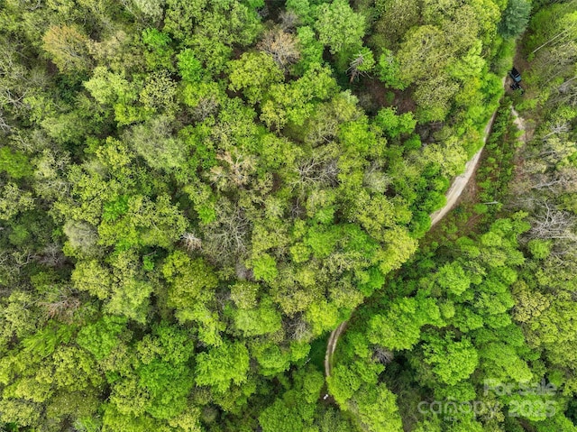 0 Bird Creek Estates Rd, Black Mountain, NC 28711 - photo 4