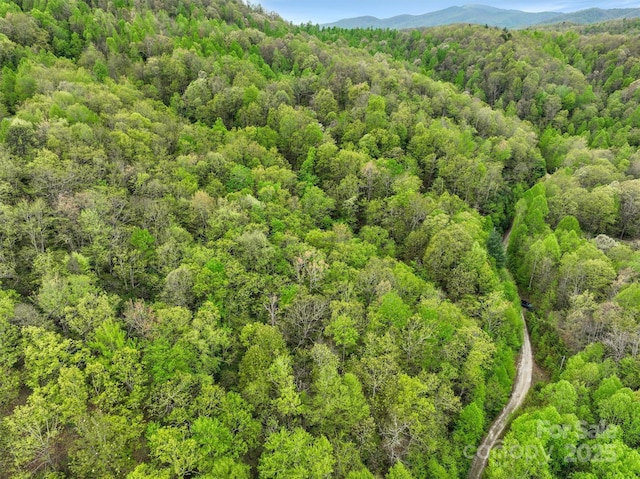0 Bird Creek Estates Rd, Black Mountain, NC 28711 - photo 5