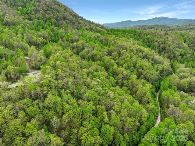 0 Bird Creek Estates Rd, Black Mountain, NC 28711 - photo 6