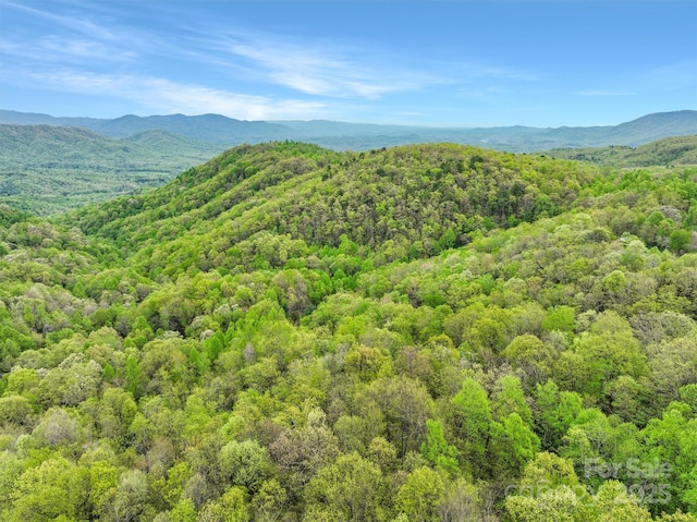 0 Bird Creek Estates Rd, Black Mountain, NC 28711 - photo 7
