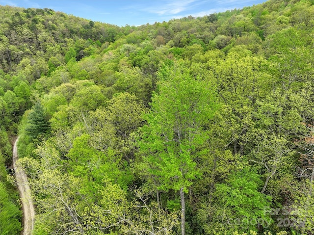 0 Bird Creek Estates Rd, Black Mountain, NC 28711 - photo 8