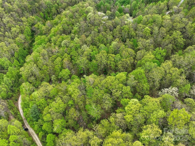 0 Bird Creek Estates Rd, Black Mountain, NC 28711 - photo 9