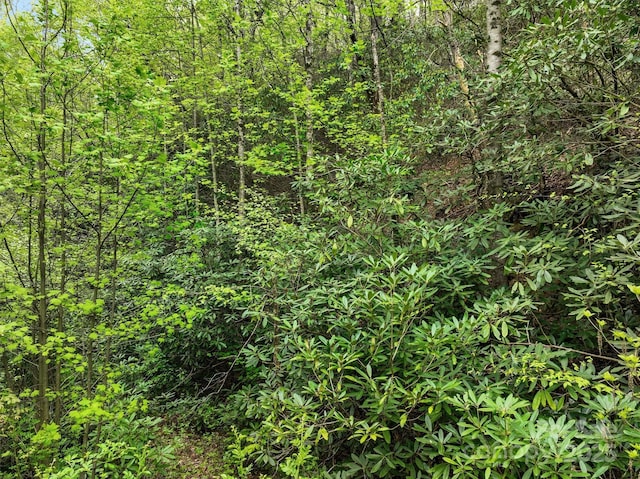 0 Bird Creek Estates Rd, Black Mountain, NC 28711 - photo 10
