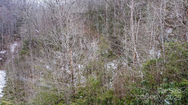 0 Bird Creek Estates Rd, Black Mountain, NC 28711 - photo 11