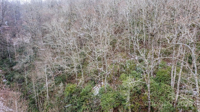 0 Bird Creek Estates Rd, Black Mountain, NC 28711 - photo 12