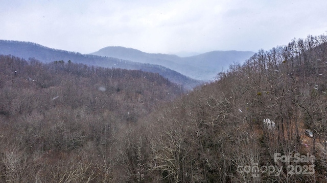 0 Bird Creek Estates Rd, Black Mountain, NC 28711 - photo 13