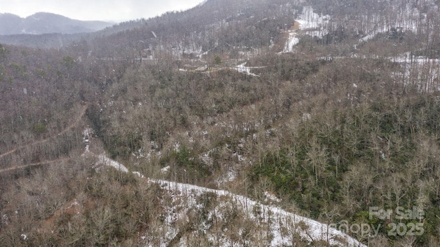 0 Bird Creek Estates Rd, Black Mountain, NC 28711 - photo 14