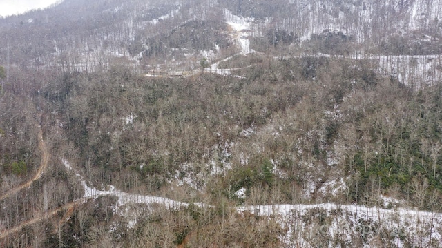 0 Bird Creek Estates Rd, Black Mountain, NC 28711 - photo 15
