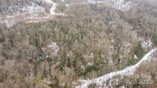 0 Bird Creek Estates Rd, Black Mountain, NC 28711 - photo 16