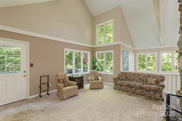 1270 Glen Cannon Dr, Pisgah Forest, NC 28768 - photo 6